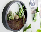 Hanging Round Wall Planter Indoor, Round Planter, Wall Hanging Planter, Hanging Terrarium, Wall Decor, Wall Vase, Air Plant Holder Florarium