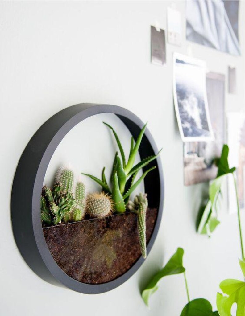 Hanging Round Wall Planter Indoor Round Planter Wall Hanging Etsy