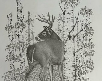 Original pencil drawing deer wildlife drawing original art