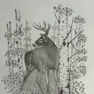 Disegno a matita originale cervo fauna selvatica disegno opere d'arte originali