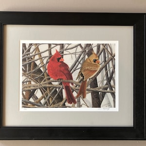 Winter Warriors Cardinal colored pencil print