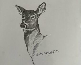 Original pencil drawing deer wildlife drawing original art