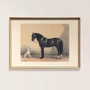 Vintage Horse and Dog Wall Art Print – Antique Equestrian Illustration – Rustic Country Decor – Digital Download