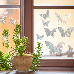 May include: A window with a view of a green plant in a brown pot. The window is decorated with iridescent butterfly decals.