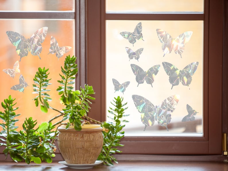 May include: A window with a view of a green plant in a brown pot. The window is decorated with iridescent butterfly decals.
