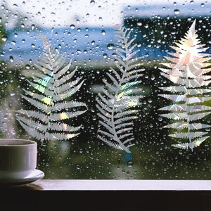 Puede incluir: Una taza de café de cerámica blanca se encuentra sobre un platillo frente a una ventana con gotas de lluvia. Se pueden ver tres siluetas de helechos iridiscentes en la ventana.