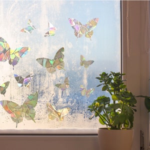 May include: A window with a frosted glass pane decorated with iridescent butterfly stickers. The window is framed in white and there are two potted plants on the windowsill.