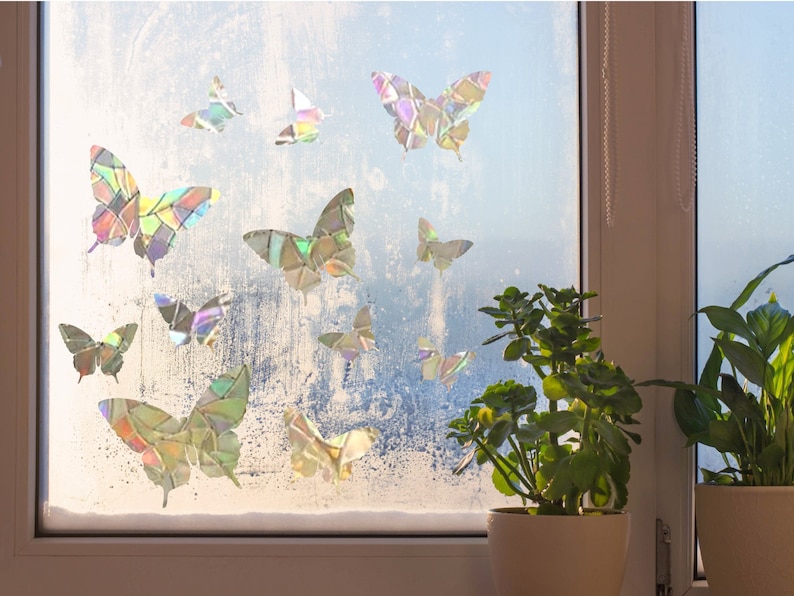 May include: A window with a frosted glass pane decorated with iridescent butterfly stickers. The window is framed in white and there are two potted plants on the windowsill.