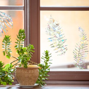 Puede incluir: Una planta en maceta con hojas verdes se encuentra en un alf&eacute;izar de ventana. La ventana tiene un dise&ntilde;o de vidrio esmerilado con un patr&oacute;n de hojas de helecho.