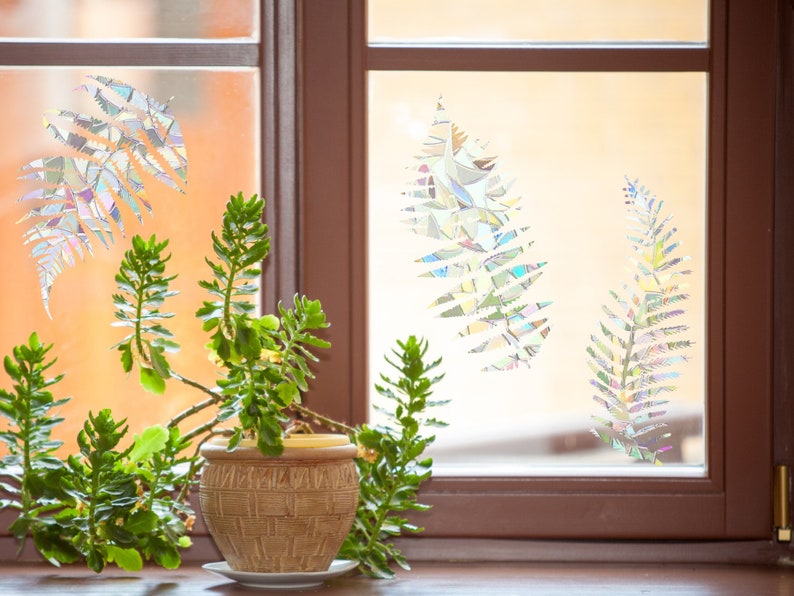 Puede incluir: Una planta en maceta con hojas verdes se encuentra en un alf&eacute;izar de ventana. La ventana tiene un dise&ntilde;o de vidrio esmerilado con un patr&oacute;n de hojas de helecho.