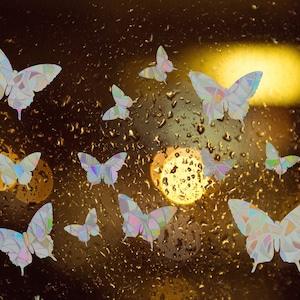 May include: A collection of iridescent butterfly decals on a wet window pane. The butterflies are various sizes and are arranged in a random pattern. The background is a blurry image of a city street at night.