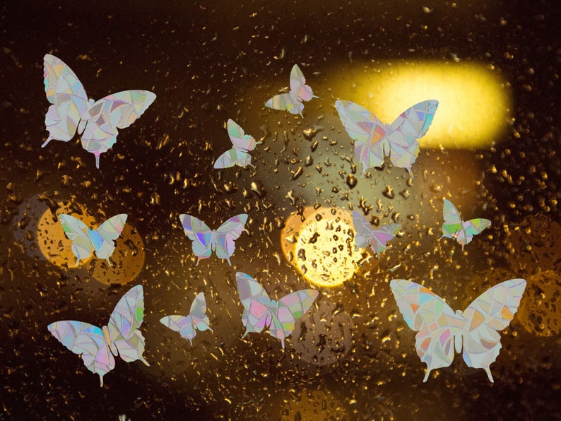 May include: A collection of iridescent butterfly decals on a wet window pane. The butterflies are various sizes and are arranged in a random pattern. The background is a blurry image of a city street at night.