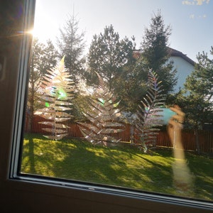 Puede incluir: Tres adhesivos de ventana con forma de helecho iridiscentes se colocan en un panel de ventana. Los adhesivos est&aacute;n hechos de un material reflectante que crea un efecto arco&iacute;ris a la luz del sol. La ventana est&aacute; abierta y se pueden ver &aacute;rboles y una casa en el exterior.