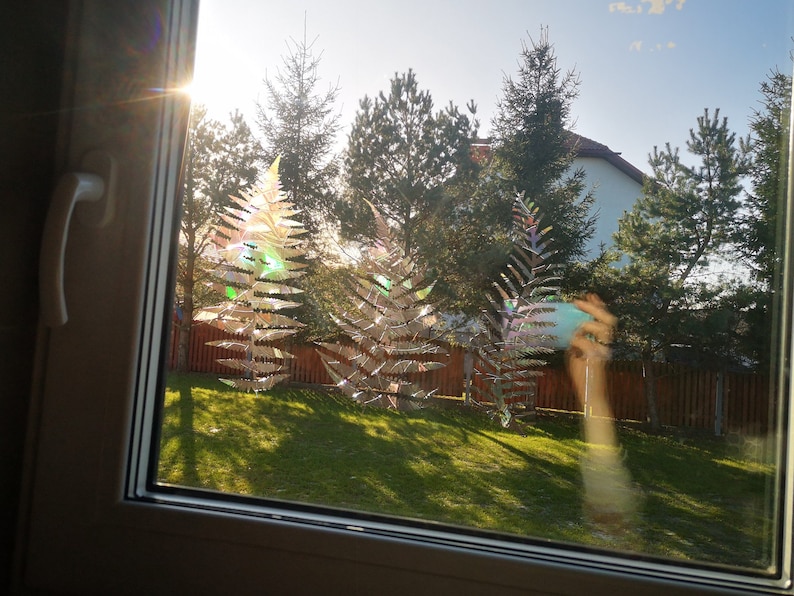 Puede incluir: Tres adhesivos de ventana con forma de helecho iridiscentes se colocan en un panel de ventana. Los adhesivos est&aacute;n hechos de un material reflectante que crea un efecto arco&iacute;ris a la luz del sol. La ventana est&aacute; abierta y se pueden ver &aacute;rboles y una casa en el exterior.