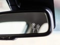 rearview mirror decal,  tiny flower sticker, small botanical decal floral, laptop car boat suv truck, holographic iridescent, opal white product logo