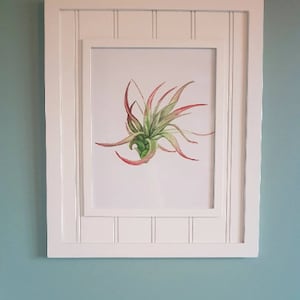 Tillandsia Air Plant Watercolour Print, Air Plant Watercolor Print, Printable Print, Watercolor Print, Digital Download Watercolor Print
