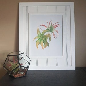 Tillandsia Air Plant Watercolour Print, Air Plant Watercolor Print, Printable Print, Watercolor Print, Digital Download Watercolor Print
