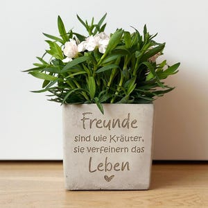 Könnte beinhalten: Ein quadratischer, hellgrauer Pflanztopf mit dem deutschen Text "Freunde sind wie Kräuter, sie verfeinern das Leben" und einem kleinen Herzen. Der Topf enthält grüne Pflanzen und kleine weiße Blüten. Der Topf steht auf einer Holzoberfläche.