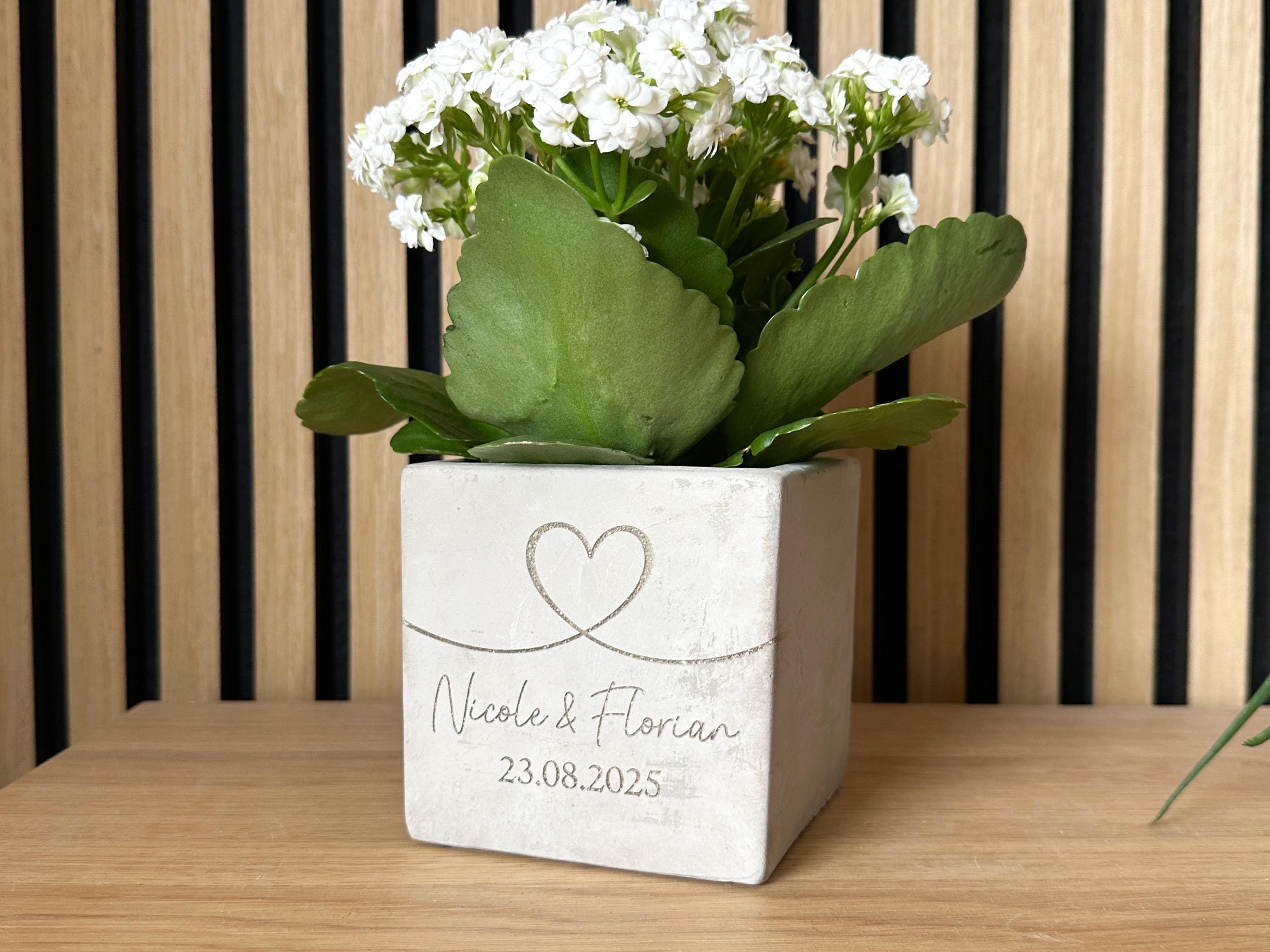 wildblumen saatgut kostenlos regionales Wildpflanzen Saatgut fr den Garten (10qm)   keep it grn