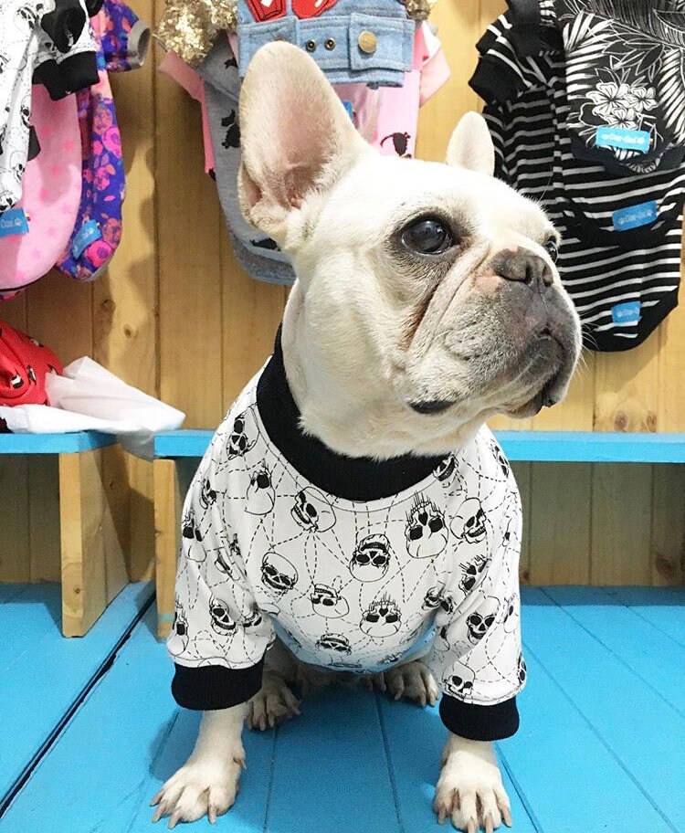 Pull Pour Chien Têtes de Morts - 100% Coton