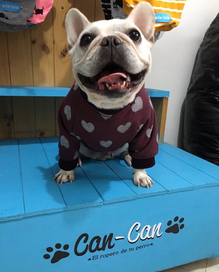 Pull Pour Chien Coeurs - 100% Coton