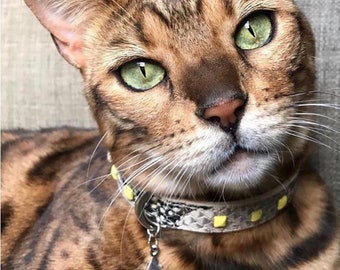 Cancandog  Etsy