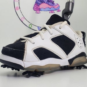 Jordan 6 low