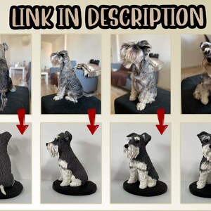 May include: A side-by-side comparison of a miniature schnauzer dog and a custom-made ceramic figurine of the dog. The figurine is a realistic representation of the dog, capturing its unique features and markings.