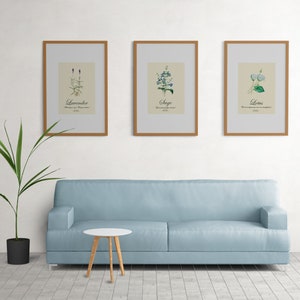 Geneeskrachtige planten met affirmatie citaten poster, Botanische Print, Wall Art, Home Decor, kruiden antiqe stijl prints met helende zinnen