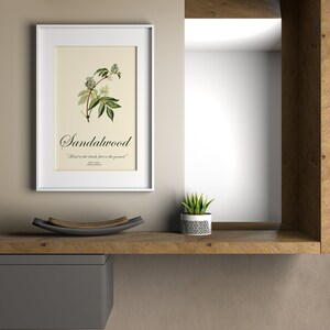 Botanische Wall Art Print, Home Decor, poster medicinale planten met bevestiging citaten. kruiden antiqe stijl prints met helende zinnen