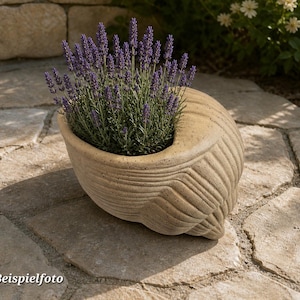 Könnte beinhalten: Ein beigefarbener, muschelförmiger Pflanztopf gefüllt mit Lavendel. Der Topf hat eine strukturierte Oberfläche und steht auf einer Steinpflasterung. Der Lavendel hat lila Blüten und grüne Blätter. Der Text "Beispielfoto" steht unten links.