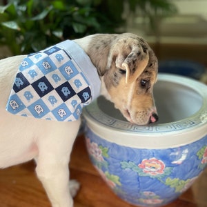 May include: A white and brown spotted puppy wearing a blue and white bandana with a repeated pattern of a blue and white logo. The puppy is looking at a blue and white ceramic pot with floral designs.