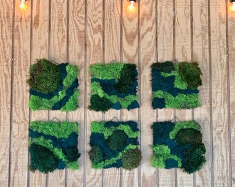 Moss Wall Art | Sustainable Living Wall Decor