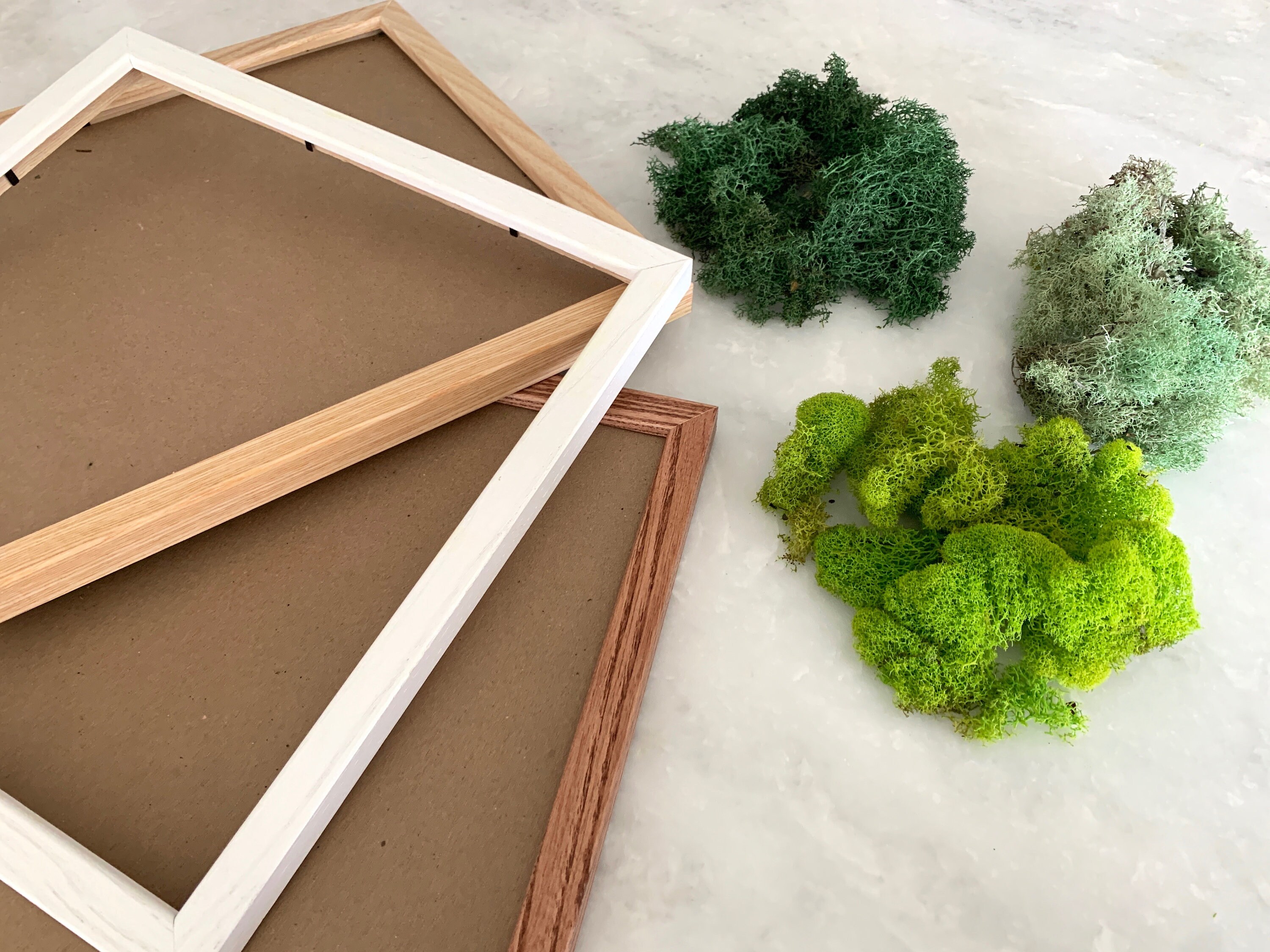 DIY Moss Wall Kit Make Your Own Moss Art Preserved Moss Etsy