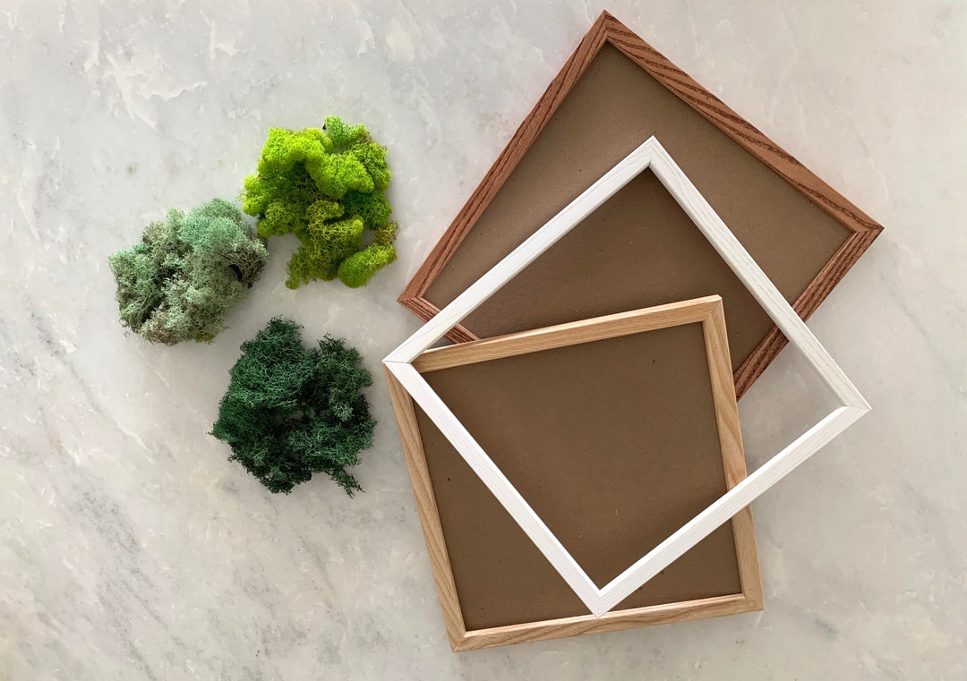 DIY Moss Wall Kit Make Your Own Moss Art Preserved Moss Frame Etsy