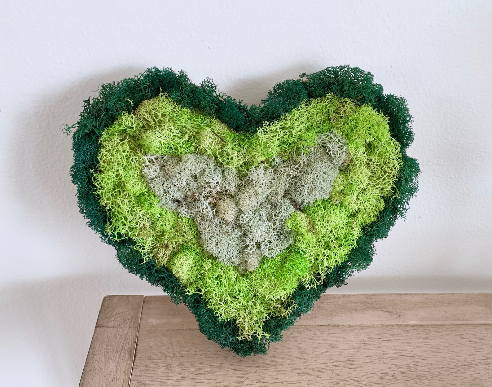 Bilder Moos:  Drawing Fun with Mossy Magic!