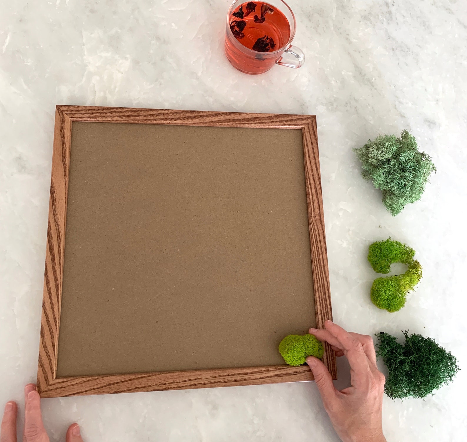 DIY Moss Wall Kit Make Your Own Moss Art Preserved Moss Etsy