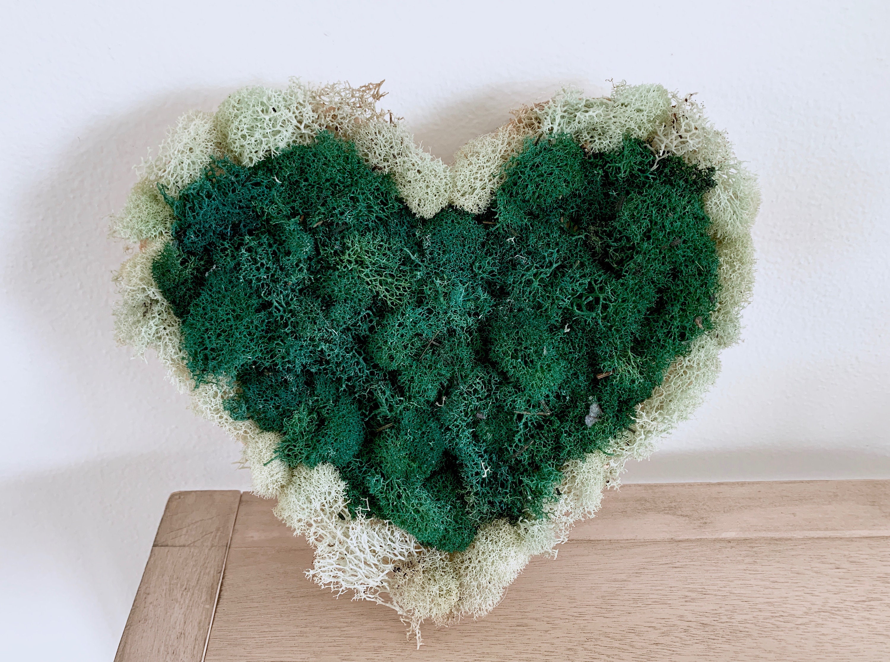 Bilder Moos:  Drawing Fun with Mossy Magic!