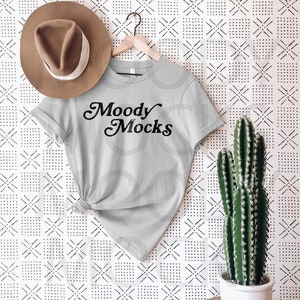 Bella Canvas 3001 Mockup | Bella Canvas Silver Shirt Mockup | Flat Lay Mockup | Hanging Tshirt Mockup
