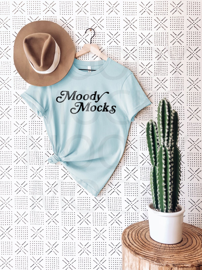Bella Canvas 3001 Mockup Bella Canvas Light Blue Shirt | Etsy