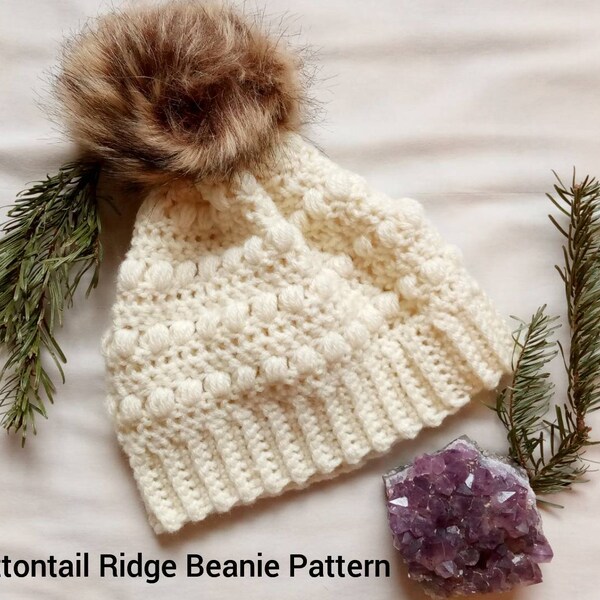 Beginner/Intermediate Beanie Pattern/Cottontail Ridge Beanie Pattern/Crochet Hat Pattern PDF/Toddler-Child-Teen-Adult)