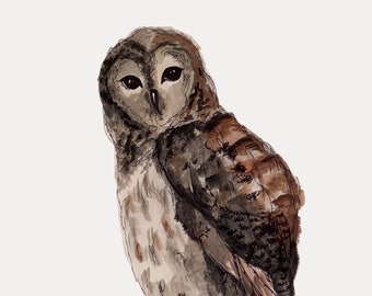 Owl Portrait Print | Pen and Ink | Watercolor