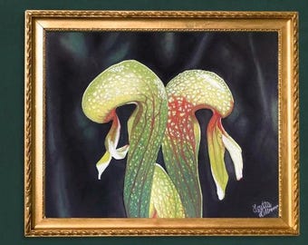 Cobra Lily Plant Art Print | Darlingtonia californica | Dark Academia Wall Decor | Botanical Art Carnivorous Plant