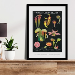 Carnivorous Plants Art Print | Plant Art | Moody Decor | Botanical Art ...