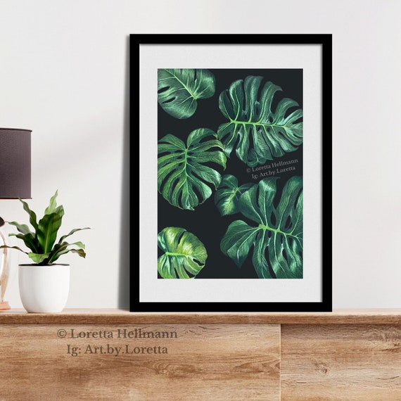 philodendron black cardinal vs imperial red Philodendron 'Black Cardinal' main image 1