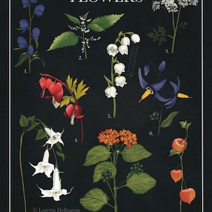 Poisonous Flowers Art Print | Floral Art | Moody Decor | Botanical Art