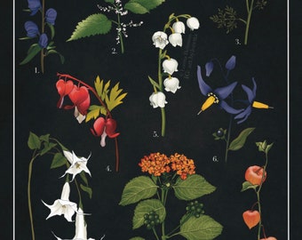 Poisonous Flowers Art Print | Floral Art | Moody Decor | Botanical Art