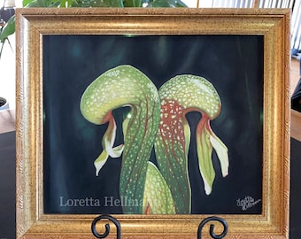 Cobra Lily Soft Pastel Original Artwork | Darlingtoni Californica