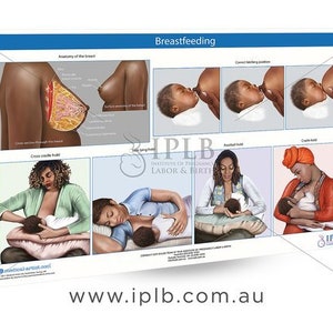 Chart 3 - Breastfeeding