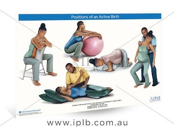 Gráfico 6 - Posiciones de un trabajo activo
